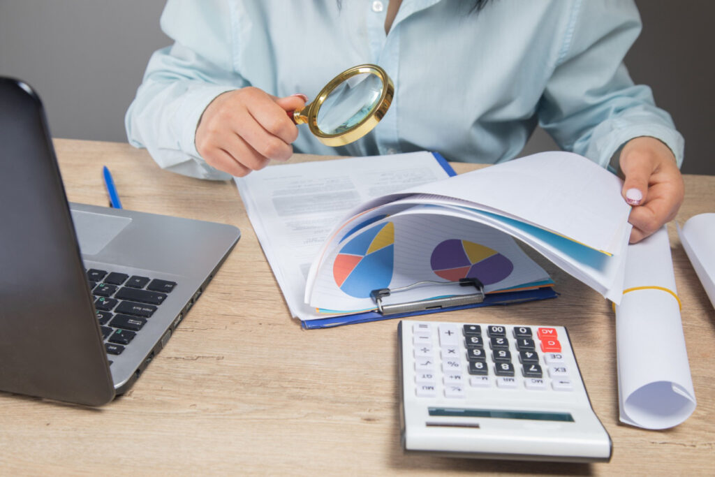 papeles de trabajo del revisor fiscal